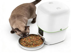 Smart Pet Feeder