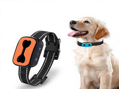 Rechargeable Anti Bark Collar | Waterproof No-Shock Dog Training Collar OEM Wholesale Showcase