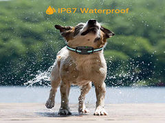 IP67 Waterproof Dog Training Collar Rechargeable  Pet Training Collar for Bulk Wholesale O