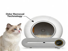 Smart Cat Litter Box