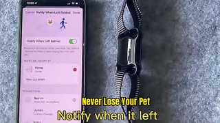 GPS Smart Pet Collar Waterproof Real-Time Tracking Long Battery Anti-Lost Wholesale OEM ODM Showcase